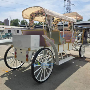 Hot Selling Electric Horse Wagon/Princess Wedding Horse Carriage/Wholesale Sightseeing Flower Carriage for Sale - Product Image 1