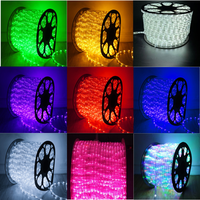 Fournisseur en gros de guirlandes LED rondes à double ligne IP65 résistantes à la neige de 13 mm, 220 V, RGB blanc chaud pour l'éclairage des parcs d'attractions et des fêtes