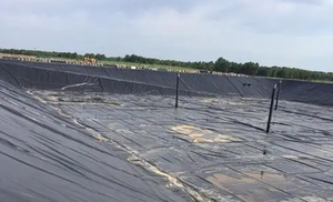 Geomembrane Industriali per Laghetti di Pesci da 0,25mm, 0,3mm, 0,5mm, 0,75mm, 1mm, per Discariche e Vasche di Allevamento Ittico, Membrana Impermeabile in HDPE - Product Image 6