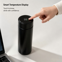Mini Thermos Intelligent en Acier Inoxydable 316, Bouteille Isotherme Portable avec Affichage de Température, Vente en Gros, Logo Personnalisé