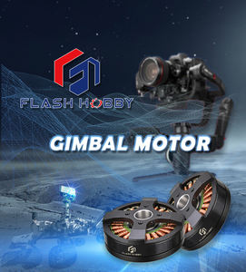 Motor Brushless Original Flashhobby BGM5208-75HS 0.3KG 5208, Motor de Gimbal para Máquina de Té con Leche y Máquina Perforadora - Product Image 6