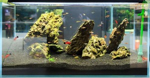 Bron Fabriek Topkwaliteit Bio Substraat Voor Aquaria Garnalen - Product Image 5