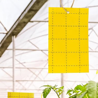 Différentes tailles d'insectes autocollants mites antiparasitaires jaune mouche pièges collants