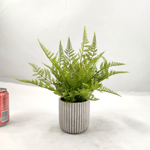 Il commercio all'ingrosso europeo dei bonsai della disposizione del fondo della ripresa delle decorazioni di nozze di arte dell'interno in vaso della <span class=keywords><strong>felce</strong></span> artificiale può essere personalizzato - Product Image 2