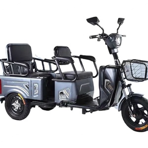 Tricycle électrique cargo en gros 800W à carrosserie ouverte, scooter à 3 roues pour femme âgée - Product Image 1