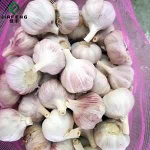 Grosir bawang putih Cina segar harga preferensial dan kualitas tinggi - Product Image 6