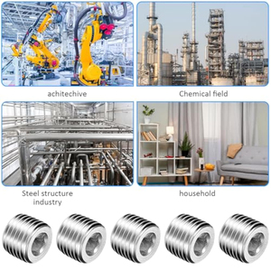 Ống thép không gỉ cắm phù hợp 1/4 inch <span class=keywords><strong>NPT</strong></span> nam nội bộ <span class=keywords><strong>Hex</strong></span> chìm đầu cắm - Product Image 5