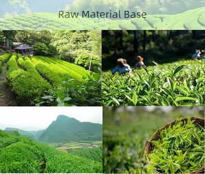 <span class=keywords><strong>KiKi</strong></span> Matcha Japonés en Polvo con Certificación Halal de Grado Alimenticio, Color Verde Vibrante, Textura Suave para Repostería y Bebidas - Product Image 6