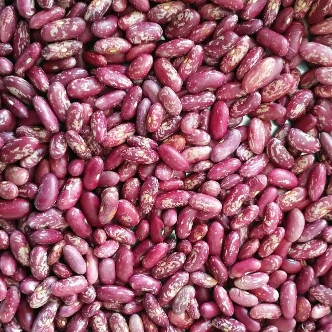 red speckled Kidney bean for sale food porridge food