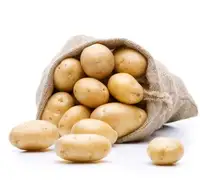 תפוחי אדמה עם מחיר טוב מקצועי יצוא תפוחי אדמה 2022 חדש טרי הולנד תפוחי אדמה