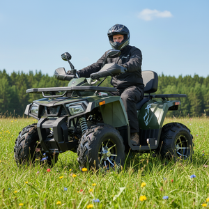 Quad Tao Motor 200cc, transmission par chaîne, freins à disque avant et arrière, automatique - Product Image 1