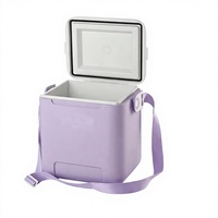 Boîte isotherme écologique personnalisable de 10 L avec bandoulière, boîte à lunch portable pour le camping, pour le stockage des aliments et des boissons