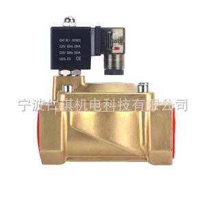 Vanne solénoïde en cuivre Richain Renqi SLP 15 20 25 32 40 50 AC 220V pour eau, gaz, huile, vanne de régulation pilotée - Product Image 5