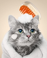 Nouvelle brosse à vapeur rechargeable 4 en 1 pour le massage des animaux de compagnie, le nettoyage, la pulvérisation d'eau, l'épilation, brosse à vapeur pour chat avec lumière