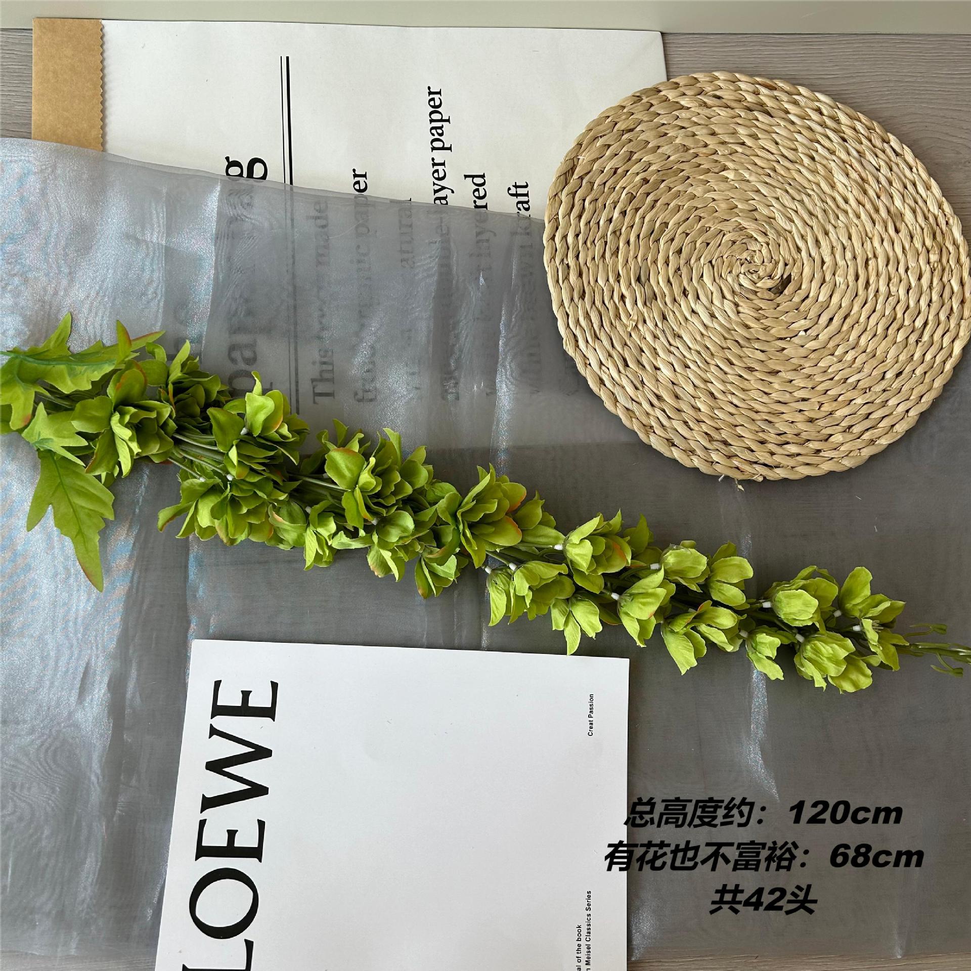 Xkl grande rondine volante