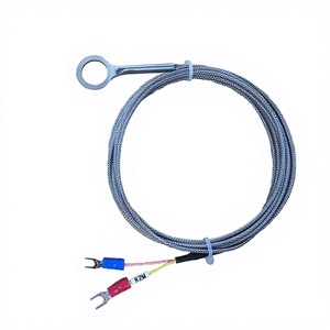 Vente directe usine Hong Kong Baoguang K-Type 14mm Capteur de température isolé diélectrique haute température - Product Image 1