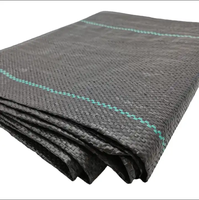 Agriculture désherbage, barrière contre les mauvaises herbes biodégradable, tapis contre les mauvaises herbes plants de fraises