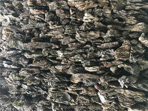 Pretty Brown Dragon <span class=keywords><strong>Aquarium</strong></span> Rock - Product Image 6