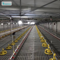 Système de ligne d'alimentation automatique pour volailles avec vis sans fin et mangeoires pour élevage commercial de poulets en poulailler
