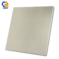 Azulejos Rústicos Mate para Piso y Pared, Textura de Madera, Modernos, Antibacterianos, Antideslizantes, 800x800mm, 10mm de Grosor, para Baño y Villa