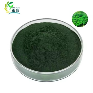 Poudre de <span class=keywords><strong>chlorella</strong></span> biologique d'approvisionnement d'usine poudre de <span class=keywords><strong>chlorella</strong></span> de qualité alimentaire naturelle - Product Image 1