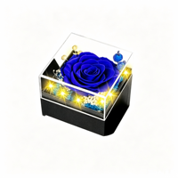 Boîte Cadeau Rose Éternelle Préservée avec Collier Projection Fait Main – Cadeau Romantique pour Femme, Saint-Valentin, Nouvel An, Naturel