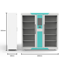 Lector de etiquetas automático RFID, sistema de gestión de inventario, almacenamiento inteligente, casilleros RFID con cerraduras electrónicas y de llave para herramientas