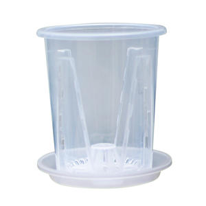 JQ Phalaenopsis หม้อควบคุมรากกล้วยไม้, เทียนดอกอโลเซีย, กระถางดอกไม้โปร่งใสแบบกลวงแครนเบอร์รี่กำมะหยี่ - Product Image 5