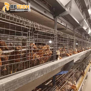 3/4 camadas camada reprodução pullet frango gaiola equipamentos com alimentação bebendo sistema - Product Image 3