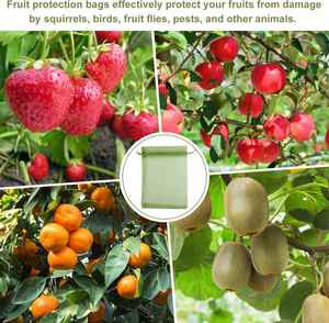 Wholesale Mango Covering <b>Insect</b> Proof <b>Mesh</b> Bag Organza Reusable Fruit Protection Bags for Garden Netting <b>Insect</b> Prevention - Product Image 4