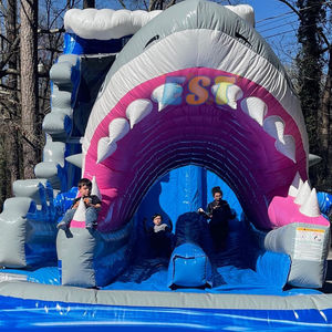 Tobogán de agua inflable para fiesta al aire libre de PVC de grado comercial a precio de fábrica, tobogán de agua de tiburón con piscina para niños - Product Image 2