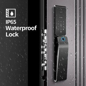 Rose Gold 3D mặt sang trọng IP68 kính thông minh khóa nhà máy Bán buôn giá rẻ tuya TT kỹ thuật số thẻ thông minh Key grey khóa cửa điện tử - Product Image 4