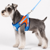 Harnais de poitrine pour chien au design tendance, en maille respirante, avec laisse, pour chats, chiens, Bichon Frisé, Schnauzer