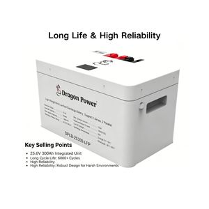25,6V 300Ah 7,68kWh DPLB-25300-LFP Lithium IJzer Fosfaat Batterij voor Off-grid Zonne-energieopslag - Product Image 3