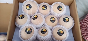 Tươi qiuyue lê từ Trung Quốc ngon ngọt và giòn trái cây trực tiếp Xuất Khẩu Nhà cung cấp chất lượng cao - Product Image 3