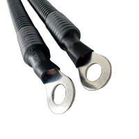 Harnais de câblage OEM personnalisé pour vélos électriques, motos et automobiles - IATF16949 pour IP65 PBT/Nylon/Caoutchouc