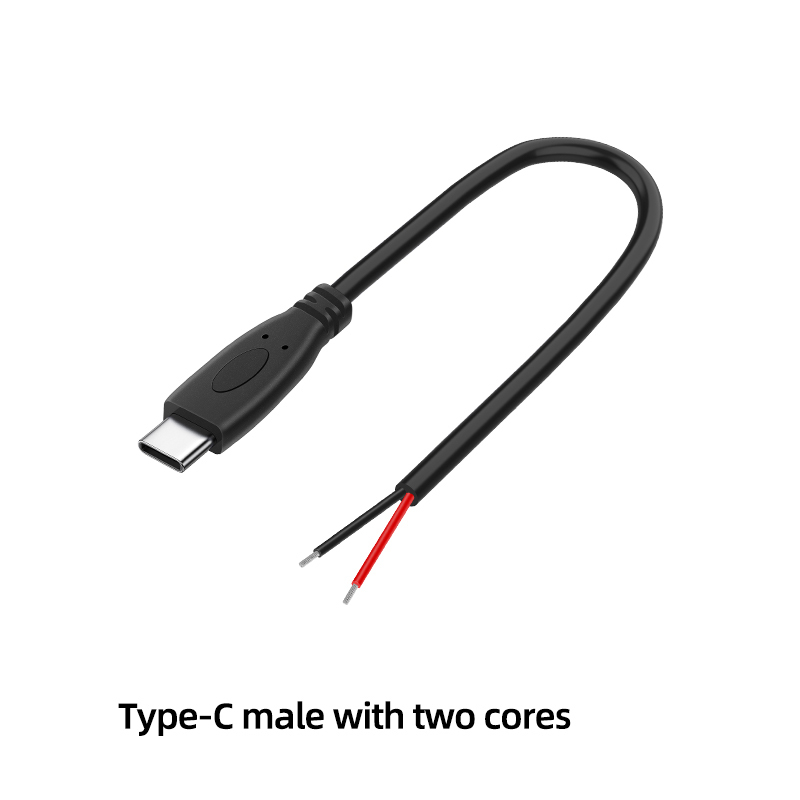 Black Type-c Male 2-core power cord