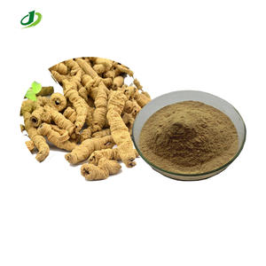 Morinda chiết xuất từ rễ indianmulberry chiết xuất bột Radix <span class=keywords><strong>morindae</strong></span> officinalis chiết xuất 10:1 - Product Image 1