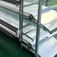 Nouvelle Cage à Poulets à Plusieurs Niveaux pour 1000 Poulets, Ferme Avicole, Type H, Nettoyage Automatique du Fumier par Manivelle, Cage à Poulets en Acier Galvanisé à Chaud