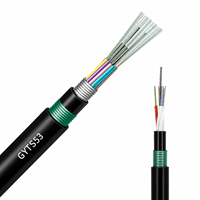 Câble à fibres optiques blindé GYTS53 24 48 96 cœurs G652D anti-rongeurs à enrobage direct