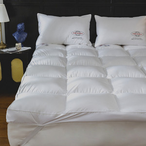 <span class=keywords><strong>Surmatelas</strong></span> en plumes <span class=keywords><strong>d</strong></span>'<span class=keywords><strong>oie</strong></span> bio extra épais, housse en coton respirant, écologique, antibactérien, 300 fils/cm² pour - Product Image 4