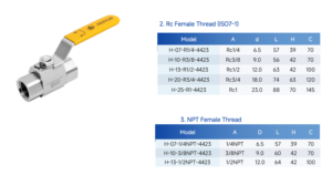 Válvulas de Bola de Acero Inoxidable Eagle para Equipos, Fabricante de Alta Presión, 1/2 3/4 2, Acero Inoxidable, Soldadura de Agua, BSPP G BSPT, Tipo de Mordida R - Product Image 6