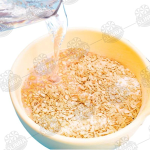 OEM nutritif sain délicieux <span class=keywords><strong>petit</strong></span> déjeuner dîner instantané lait céréales boisson flocons d'avoine boire des aliments halal céréales végétariennes - Product Image 4