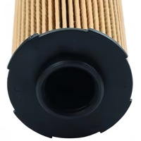 11428575211 Filter Oli untuk BMW Seri 3 F30 G20 Seri 4 F32 Seri 5 G30 X3 G01 B48 2.0T