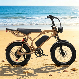 Bicicleta Eléctrica Todoterreno <span class=keywords><strong>GREENSKY</strong></span> GS-01 de 20 Pulgadas con Llantas Gruesas, 1000W, para Adultos, Venta al Por Mayor - Product Image 4