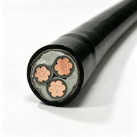 Câble d'alimentation YJV22 0,6/1 kV, 3 conducteurs, 25 mm², cuivre, isolation XLPE, blindage en ruban d'acier, enterrage direct, gaine PVC