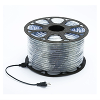10mm rond RVB blanc chaud deux fils noël LED corde lumière 220V IP67 étanche bande Flexible éclairage décoratif