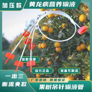 Tubo de infusión para árboles frutales Huanglongbing, modelo de regulación presurizado uno a tres, instrumento de inyección con manguera de PVC - Product Image 2