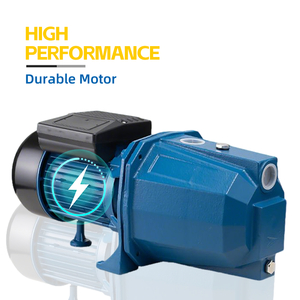 Pompe à eau à jet <span class=keywords><strong>BLUESEA</strong></span> à haute pression, auto-amorçante, en acier au carbone, moteur 220V, pour l'irrigation agricole - Product Image 2