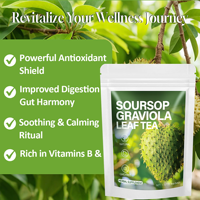 Sachets de thé aux feuilles de corossol (graviola) à marque privée OEM, infusion naturelle à base de plantes, thé quotidien, vente directe usine